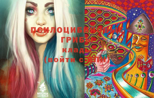 гидропоника Горно-Алтайск