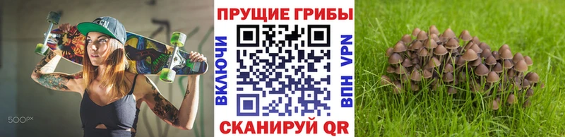 Псилоцибиновые грибы Psilocybe  Грязи 