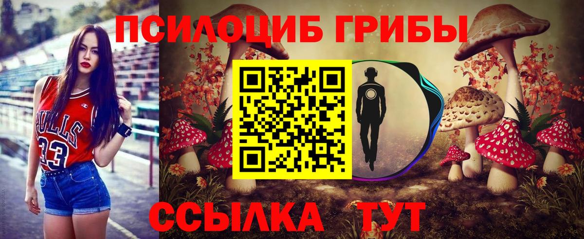 Псилоцибиновые грибы Psilocybe  Псилоцибиновые грибы мицелий  магазин  наркотиков  Вход с VPN  Грязи 