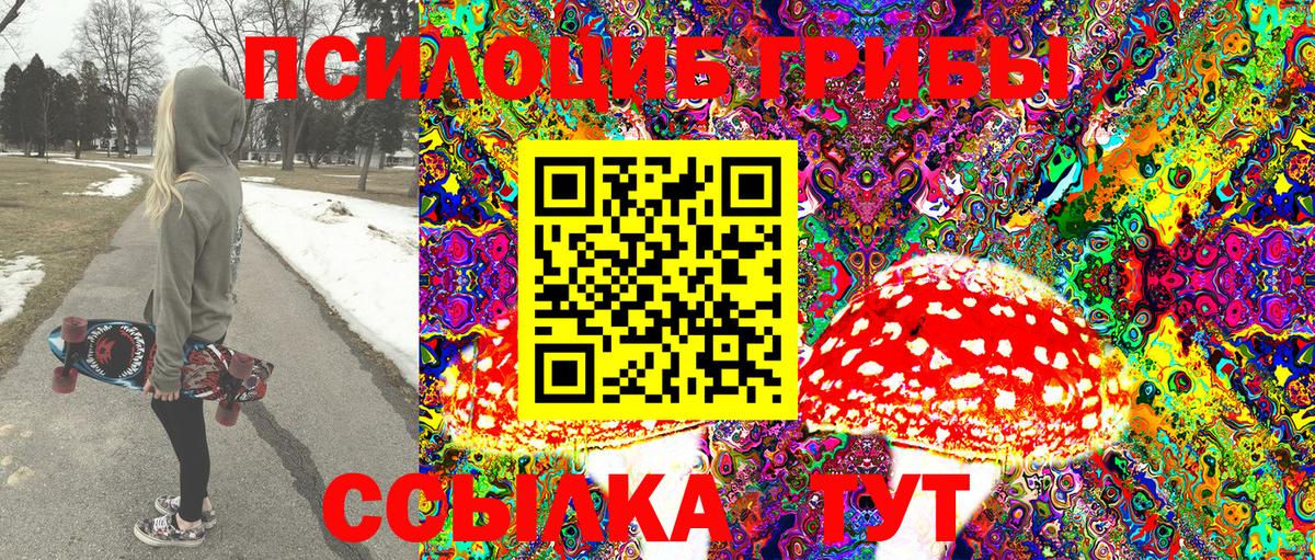 Псилоцибиновые грибы мицелий Грязи