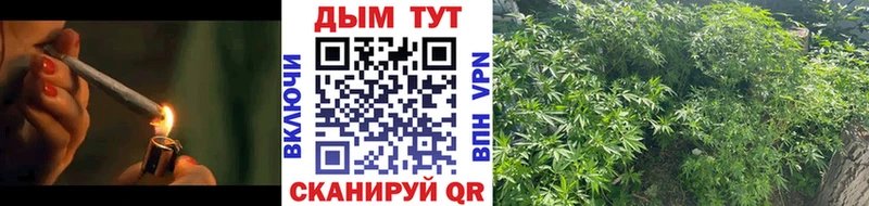 Канабис ГИДРОПОН MEGA ссылка Грязи