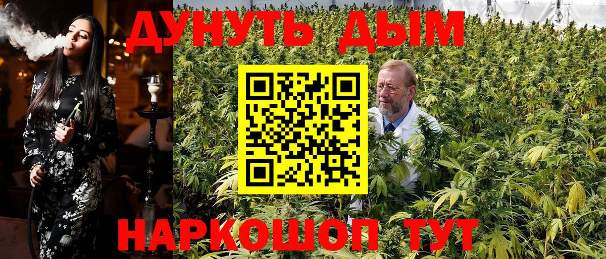 Грязи  Канабис семена  МАРИХУАНА MAZAR  Каннабис OG Kush  Канабис семена  Вход с VPN 