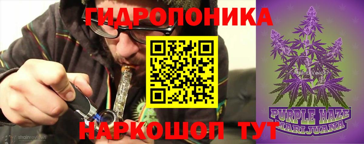 Канабис гибрид Грязи